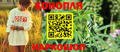Альфа ПВП Ипатово