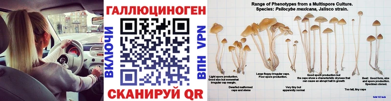 Псилоцибиновые грибы Magic Shrooms Истра