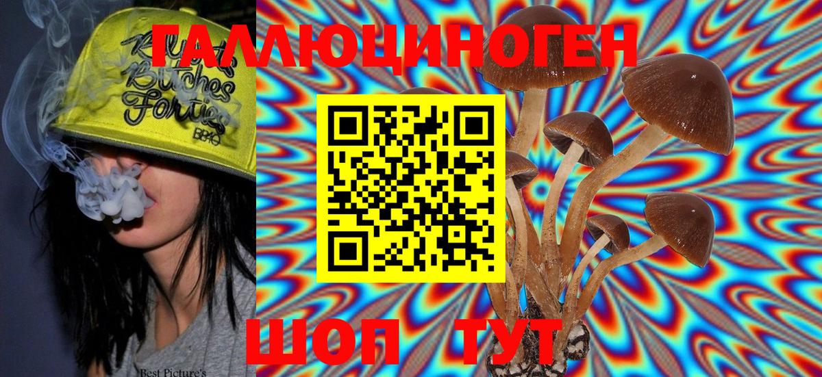 Галлюциногенные грибы Psilocybe Истра