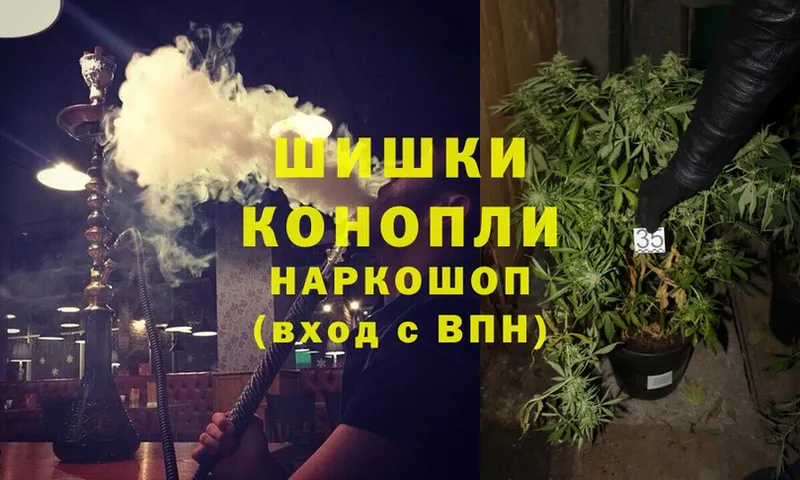 Конопля THC 21%  где купить наркоту  Истра 